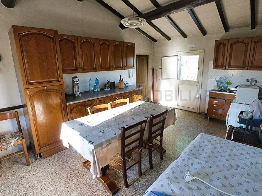 Immagine 10 di Casa colonica in vendita  a Castiglione Della Pescaia