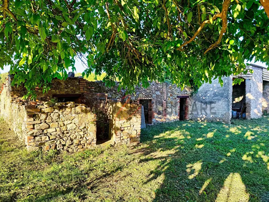 Immagine 38 di Casa colonica in vendita  a Castiglione Della Pescaia