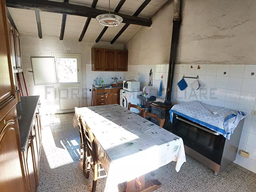 Immagine 11 di Casa colonica in vendita  a Castiglione Della Pescaia