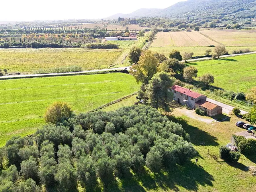 Immagine 4 di Casa colonica in vendita  a Castiglione Della Pescaia