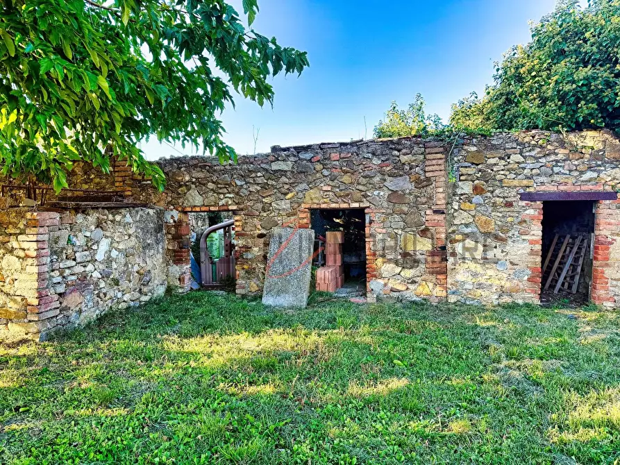 Immagine 37 di Casa colonica in vendita  a Castiglione Della Pescaia