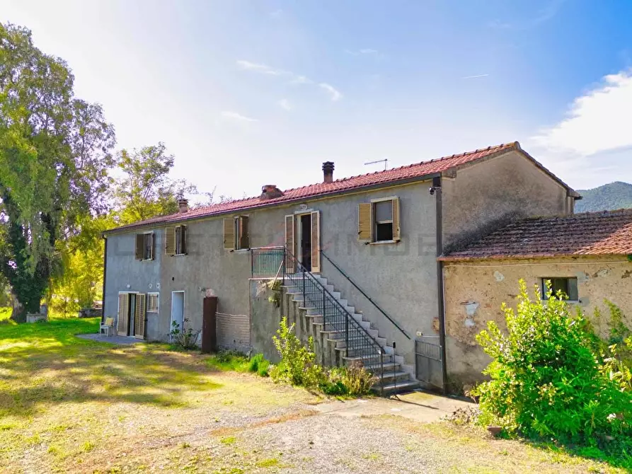 Immagine 2 di Casa colonica in vendita  a Castiglione Della Pescaia