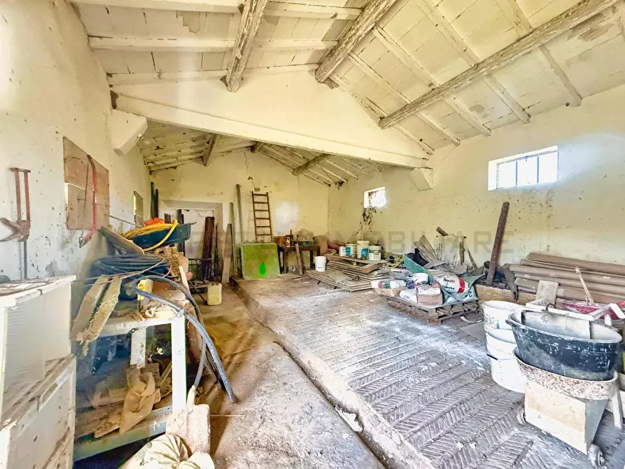 Immagine 29 di Casa colonica in vendita  a Castiglione Della Pescaia