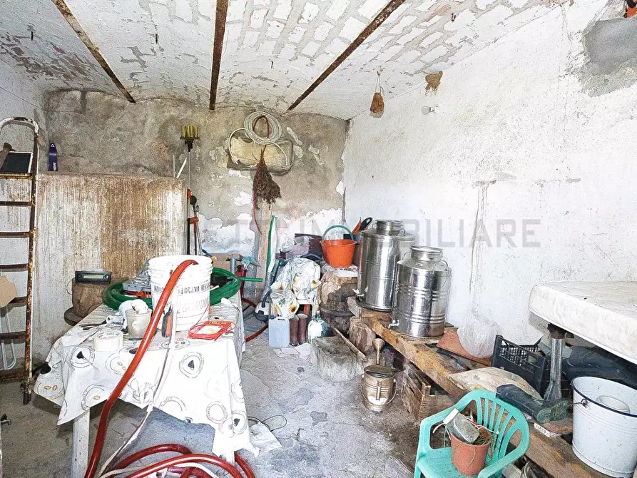 Immagine 32 di Casa colonica in vendita  a Castiglione Della Pescaia