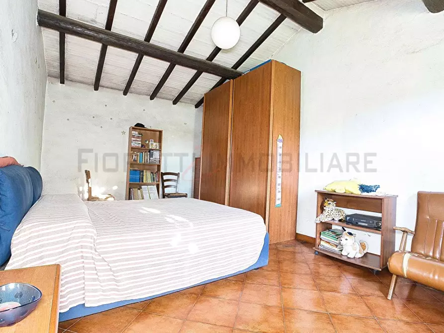 Immagine 26 di Casa colonica in vendita  a Castiglione Della Pescaia