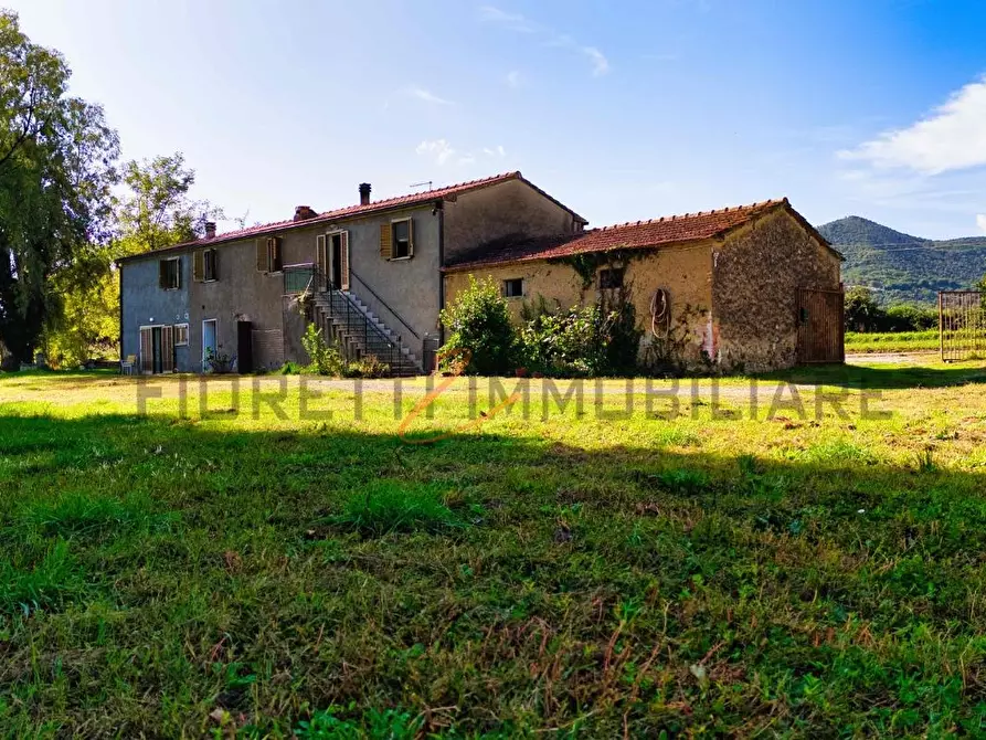 Immagine 36 di Casa colonica in vendita  a Castiglione Della Pescaia