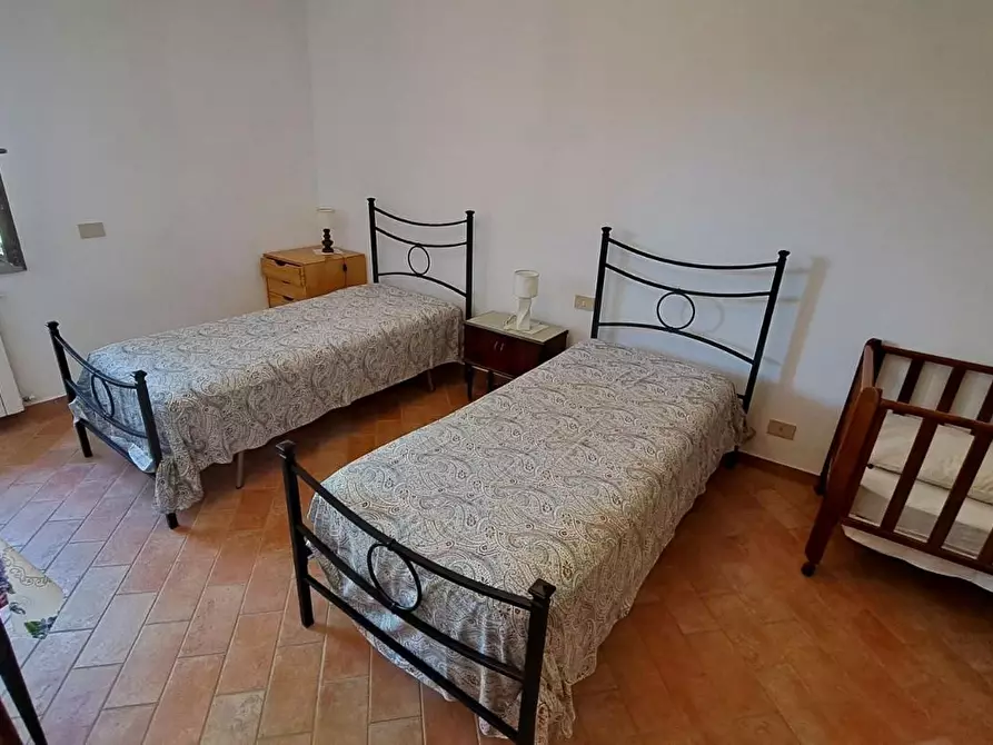 Immagine 12 di Terratetto in vendita  a Rosignano Marittimo