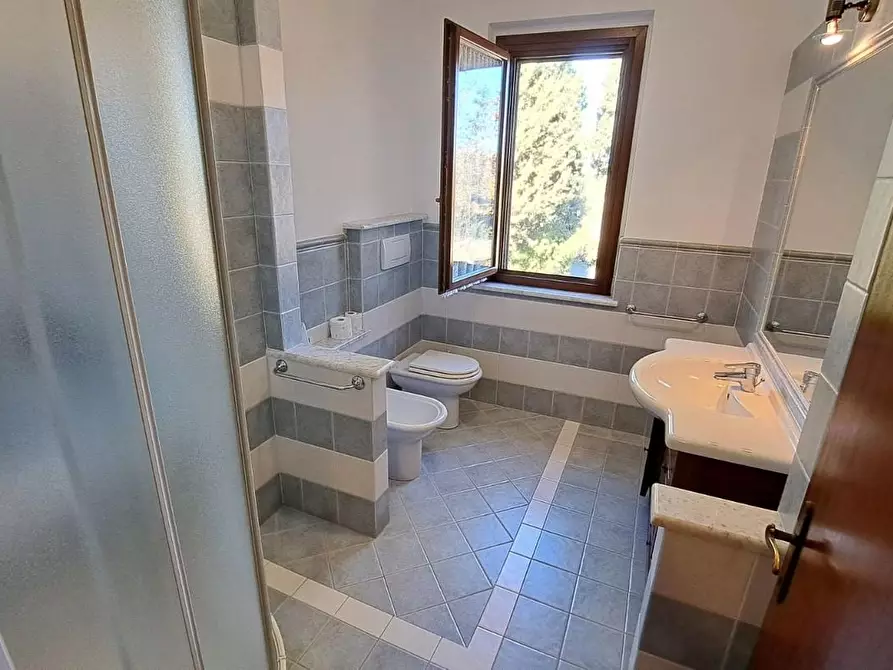 Immagine 14 di Terratetto in vendita  a Rosignano Marittimo