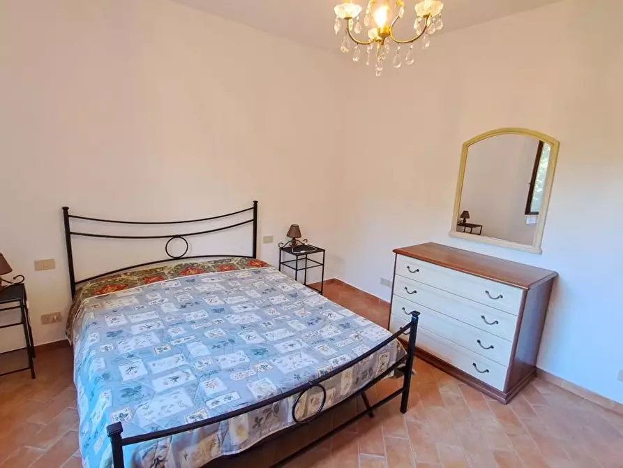 Immagine 11 di Terratetto in vendita  a Rosignano Marittimo