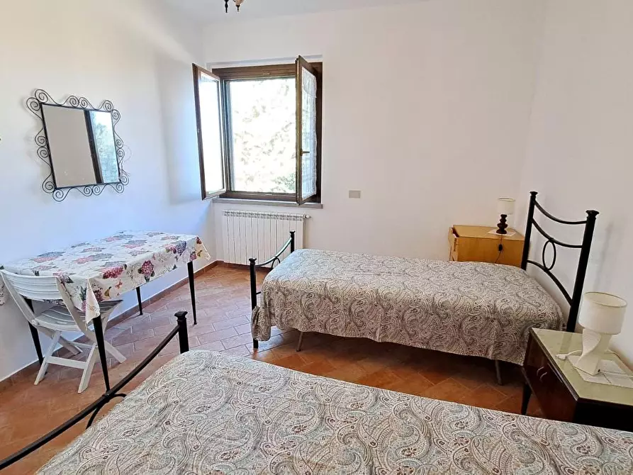 Immagine 13 di Terratetto in vendita  a Rosignano Marittimo