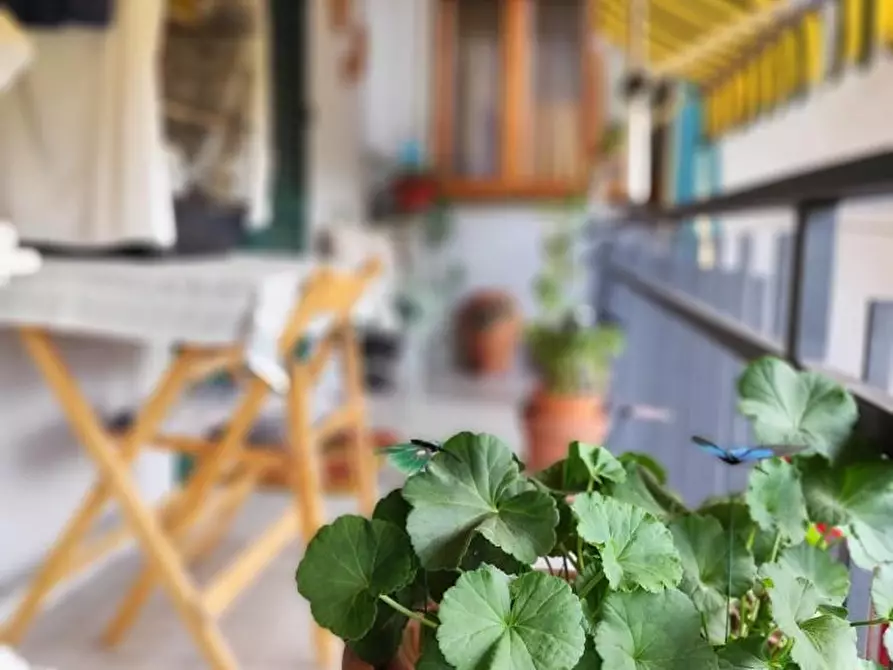 Immagine 20 di Appartamento in vendita  a Massa