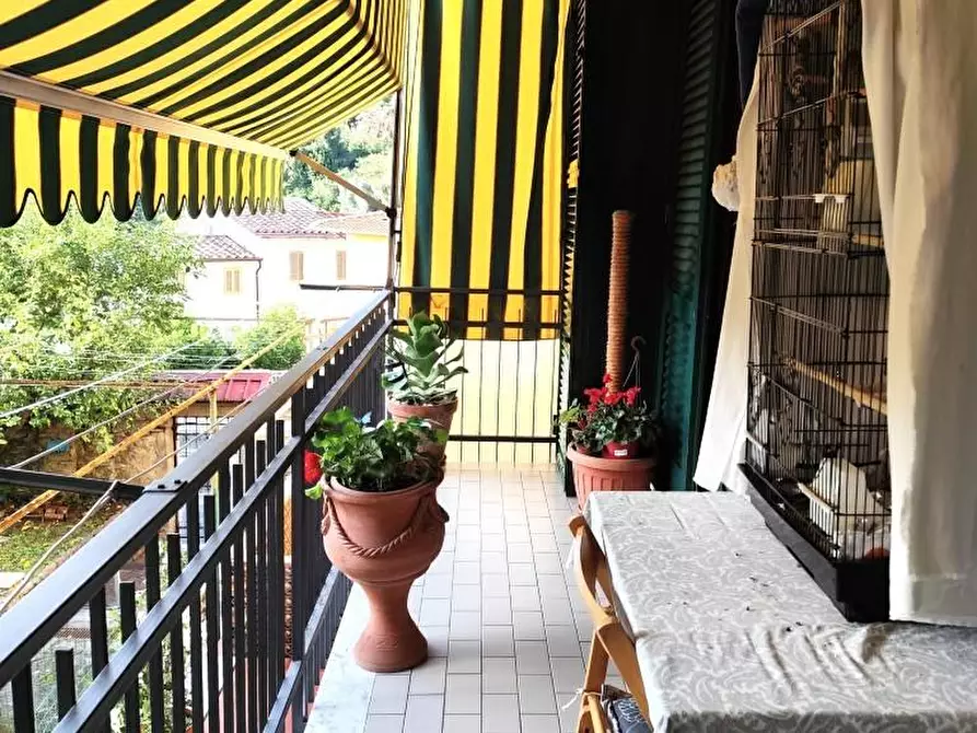 Immagine 19 di Appartamento in vendita  a Massa