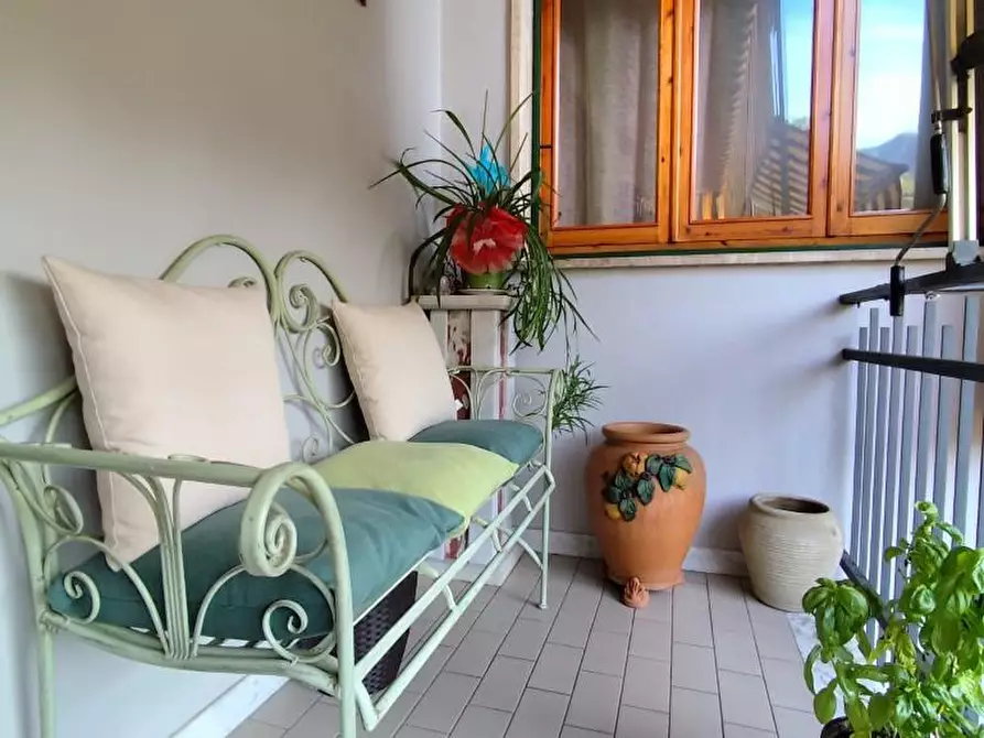 Immagine 17 di Appartamento in vendita  a Massa