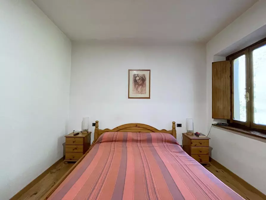 Immagine 19 di Terratetto in vendita  a Camaiore