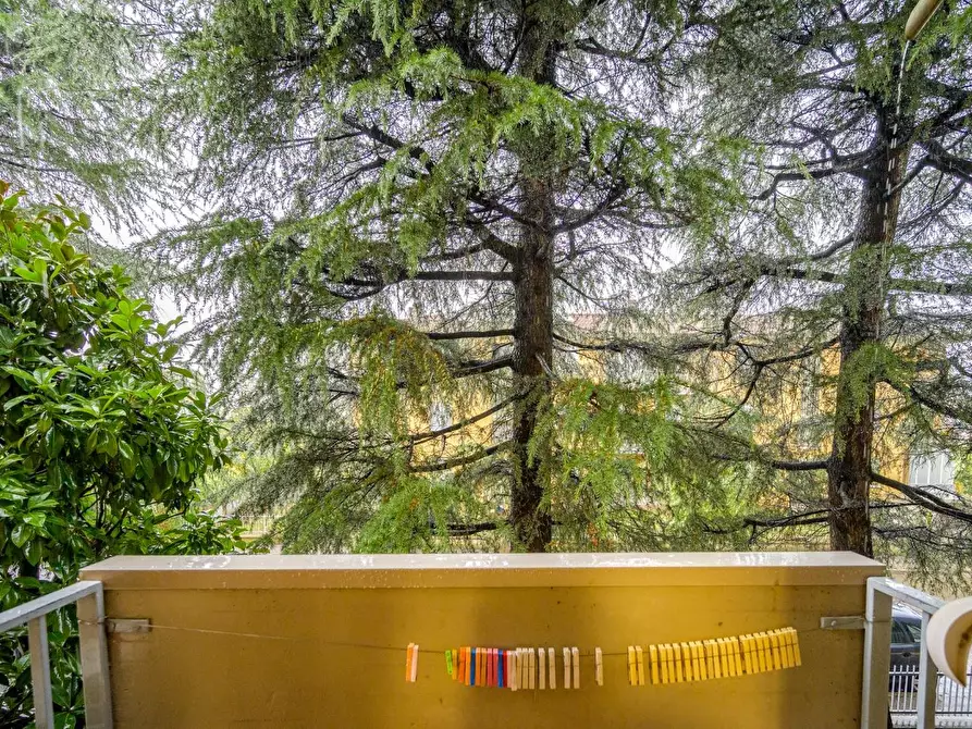 Immagine 19 di Appartamento in vendita  a Castel San Pietro Terme