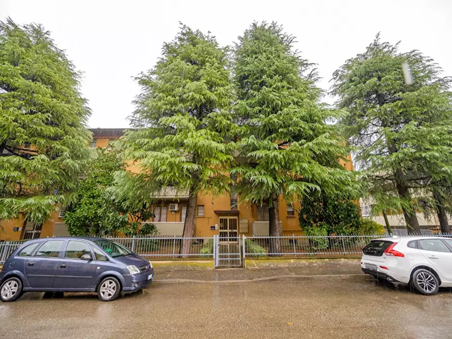 Immagine 22 di Appartamento in vendita  a Castel San Pietro Terme