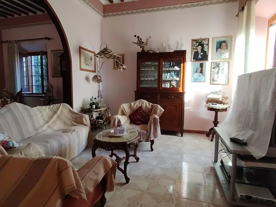 Immagine 4 di Appartamento in vendita  a Calci