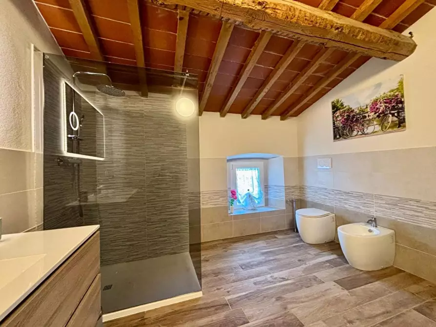 Immagine 21 di Appartamento in vendita  a Terricciola