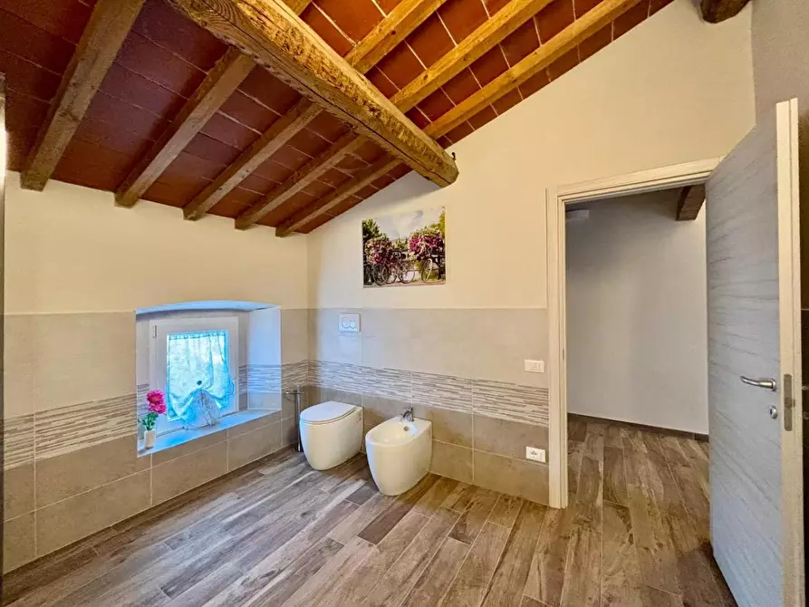 Immagine 22 di Appartamento in vendita  a Terricciola