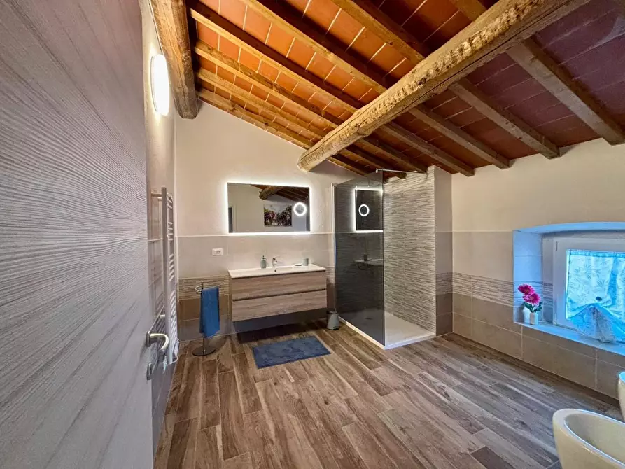 Immagine 19 di Appartamento in vendita  a Terricciola