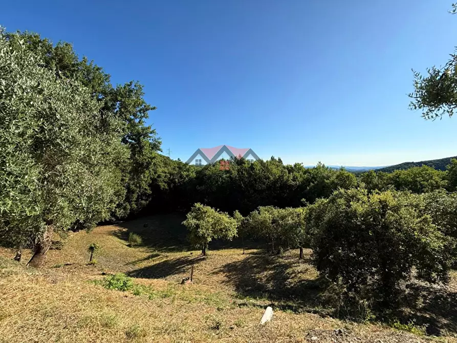 Immagine 18 di Casa colonica in vendita  a Pomarance