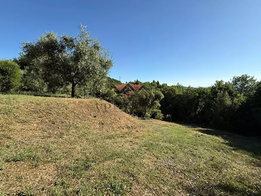 Immagine 17 di Casa colonica in vendita  a Pomarance