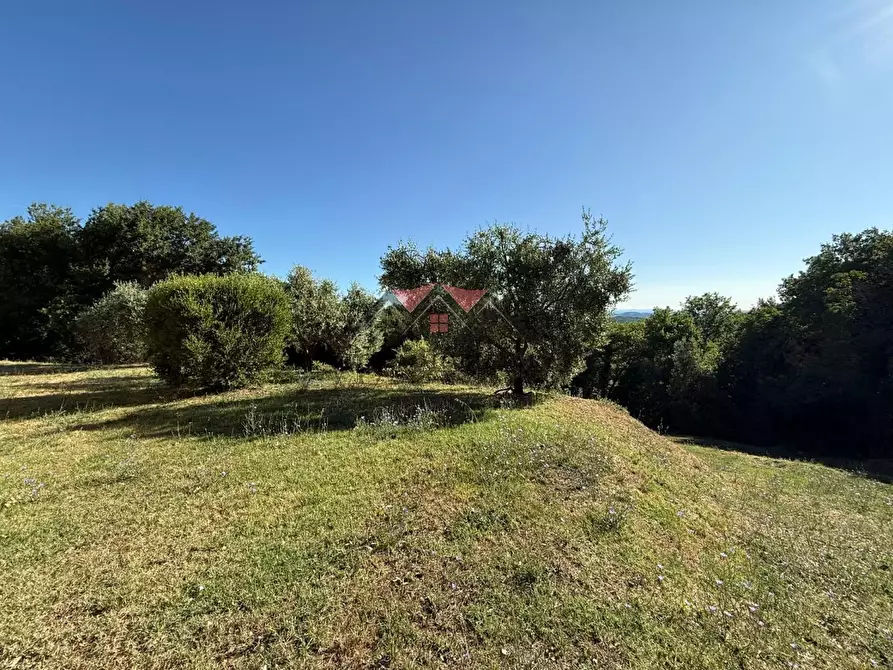 Immagine 14 di Casa colonica in vendita  a Pomarance