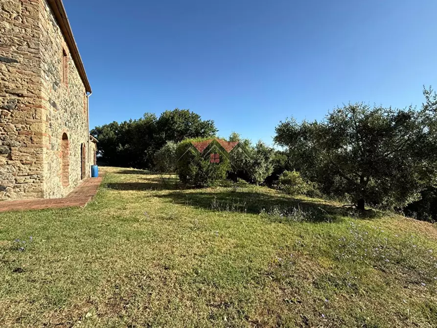 Immagine 11 di Casa colonica in vendita  a Pomarance