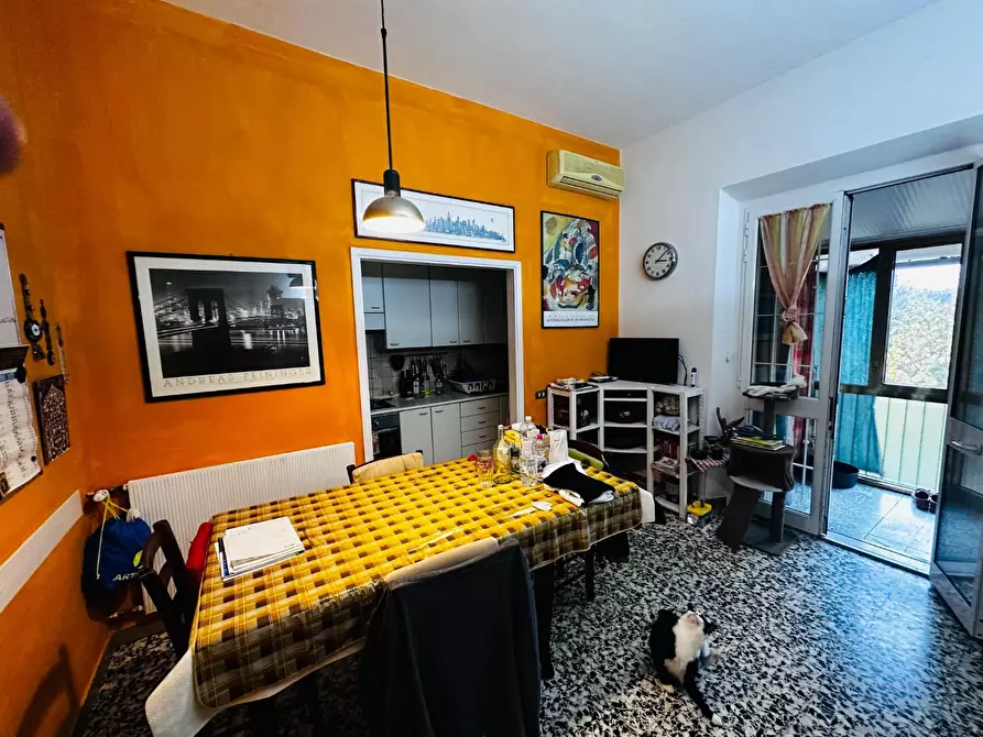 Immagine 12 di Villa in vendita  a Pisa