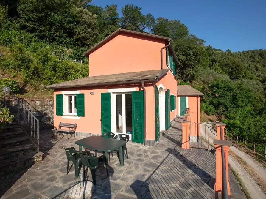 Immagine 8 di Casa semindipendente in vendita  a Ne