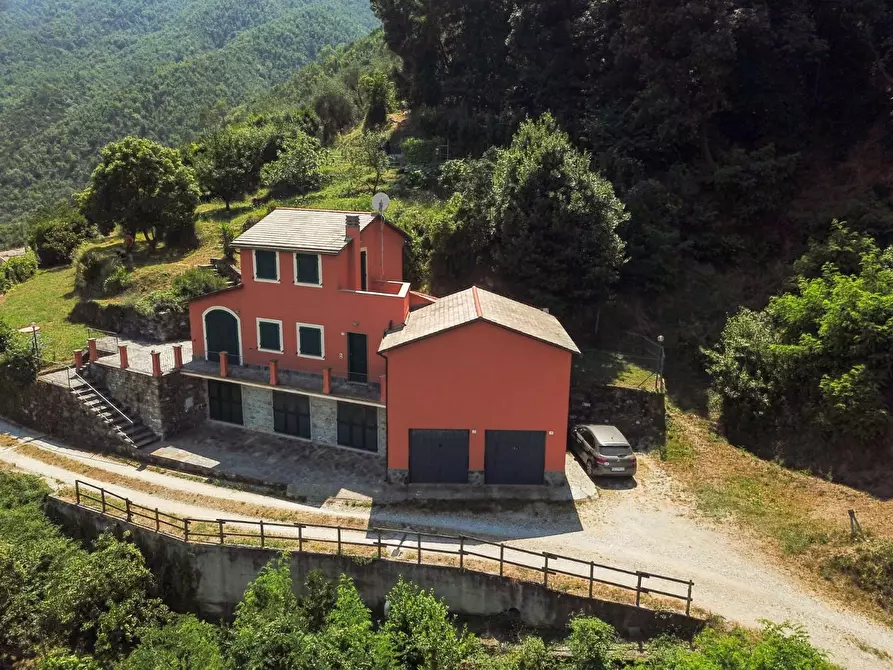 Immagine 5 di Casa semindipendente in vendita  a Ne