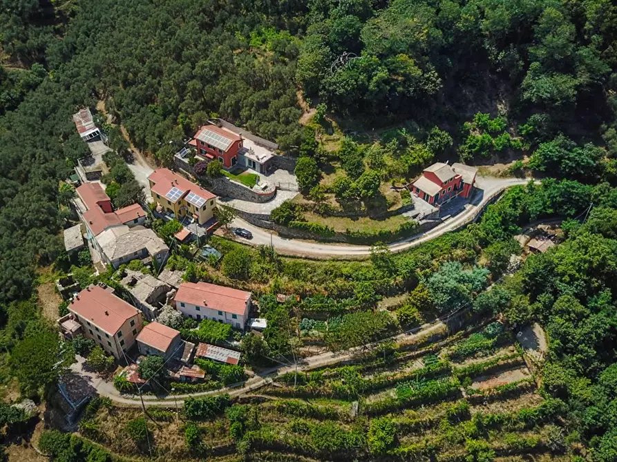 Immagine 2 di Casa semindipendente in vendita  a Ne