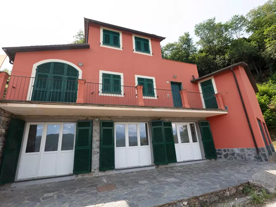 Immagine 1 di Casa semindipendente in vendita  a Ne