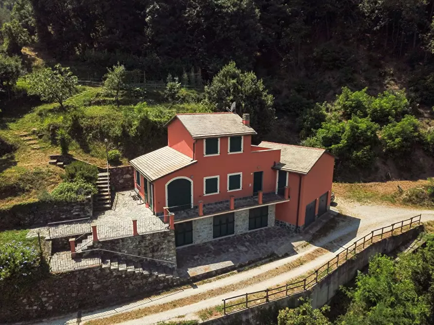 Immagine 4 di Casa semindipendente in vendita  a Ne