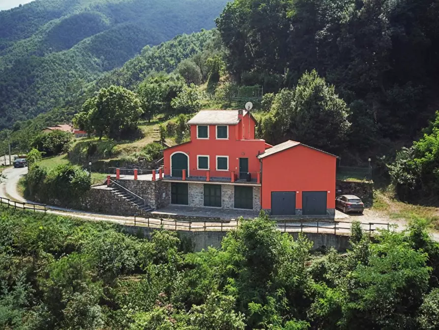 Immagine 3 di Casa semindipendente in vendita  a Ne