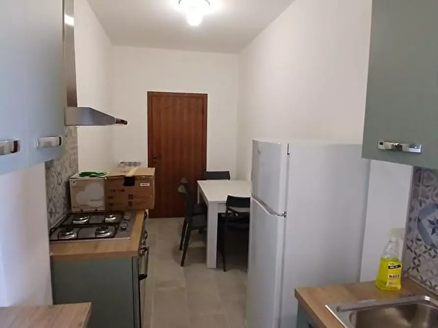 Immagine 12 di Appartamento in affitto  a Pisa