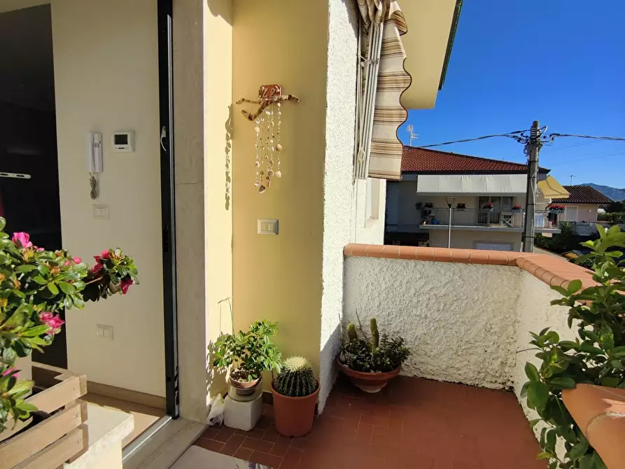 Immagine 32 di Casa semindipendente in vendita  a Viareggio