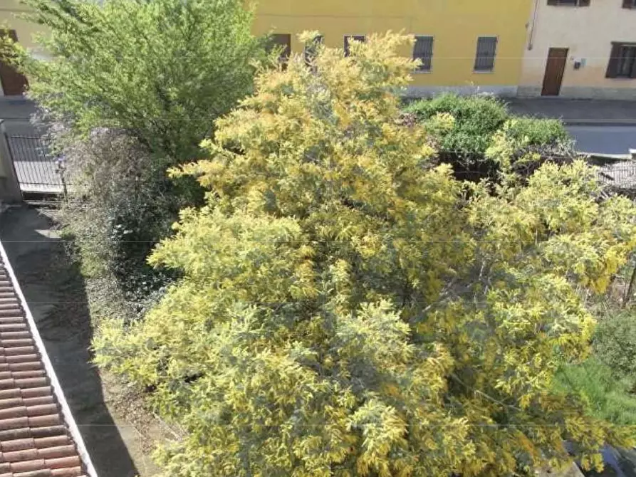 Immagine 7 di Terratetto in vendita  a Dorno