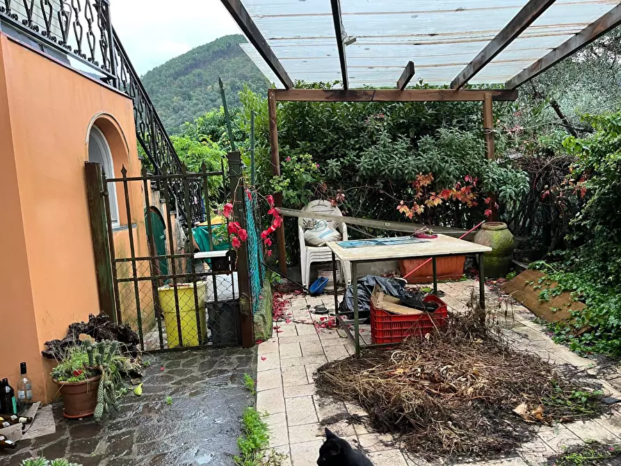 Immagine 17 di Terratetto in vendita  a Calci