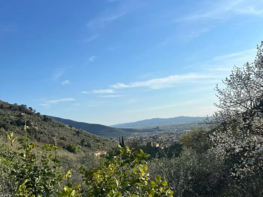 Immagine 25 di Terratetto in vendita  a Calci