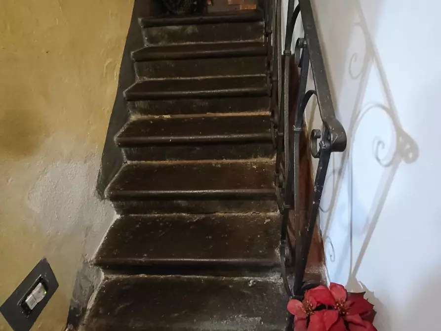 Immagine 23 di Terratetto in vendita  a Lucca