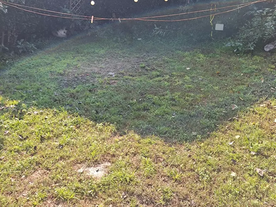 Immagine 12 di Terratetto in vendita  a Capannori