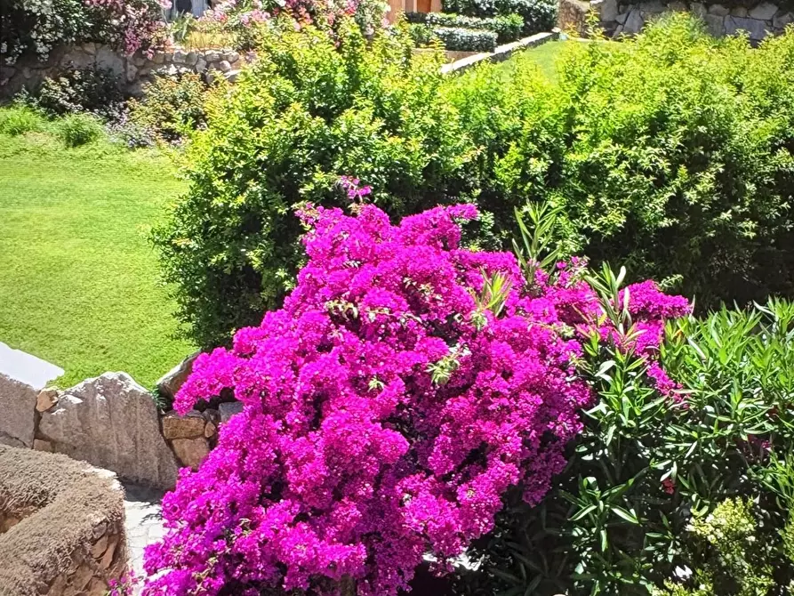 Immagine 18 di Appartamento in vendita  a Santa Teresa Gallura