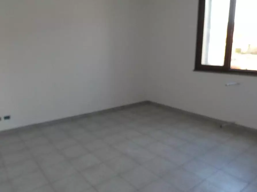 Immagine 5 di Appartamento in vendita  a Rosignano Marittimo