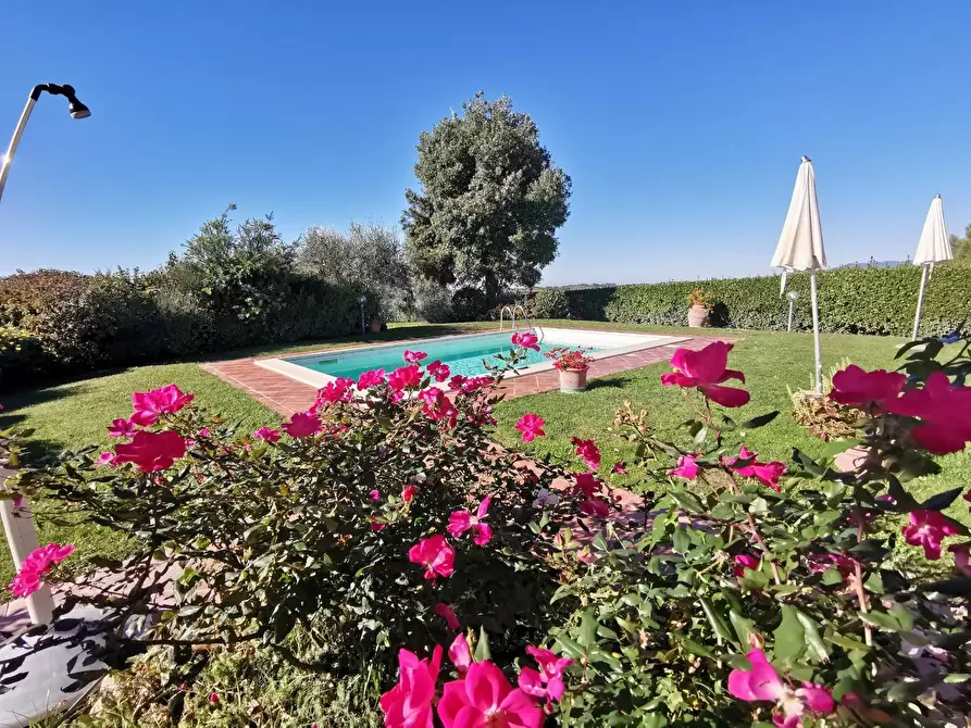 Immagine 39 di Casa indipendente in vendita  a Palaia