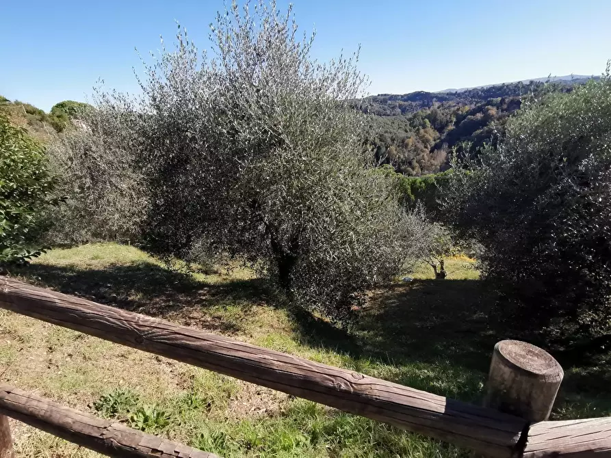 Immagine 56 di Casa indipendente in vendita  a Palaia