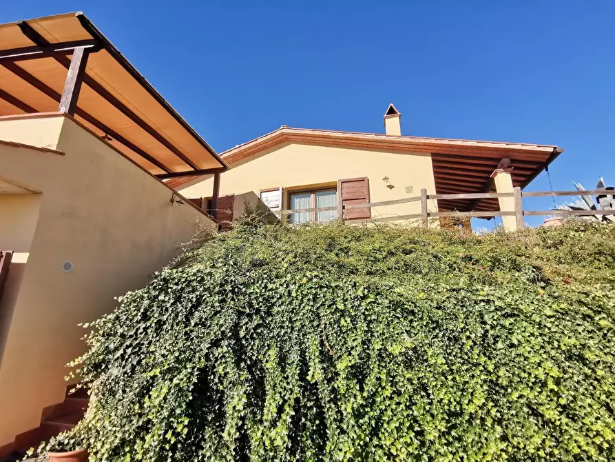 Immagine 50 di Casa indipendente in vendita  a Palaia