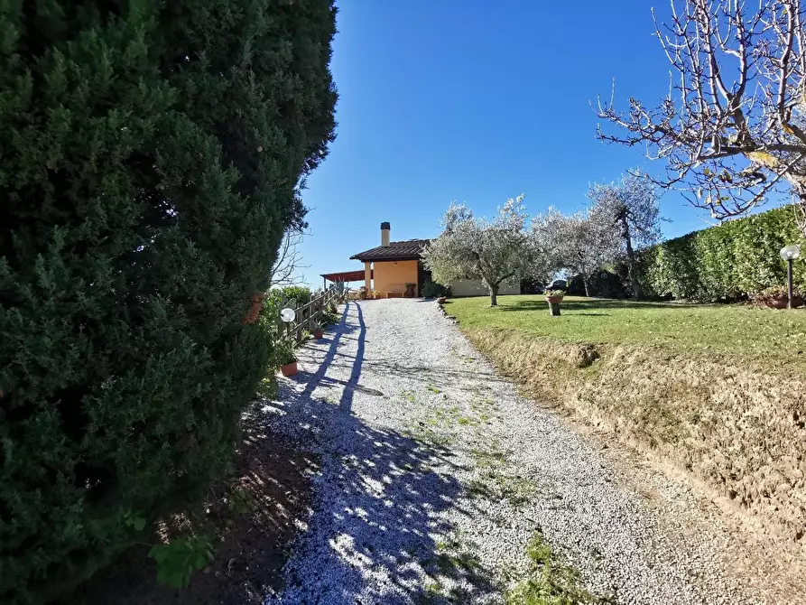 Immagine 62 di Casa indipendente in vendita  a Palaia