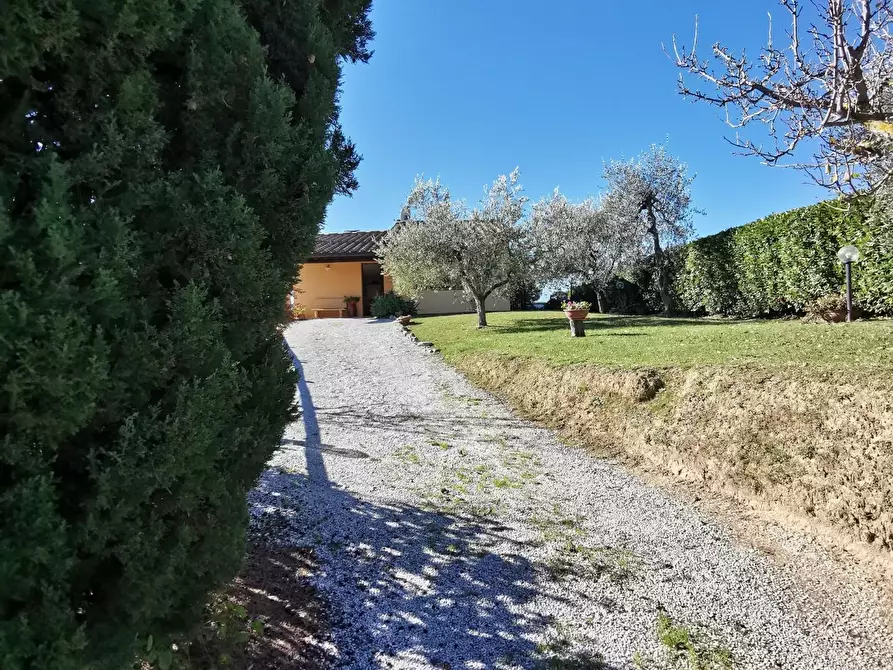 Immagine 61 di Casa indipendente in vendita  a Palaia