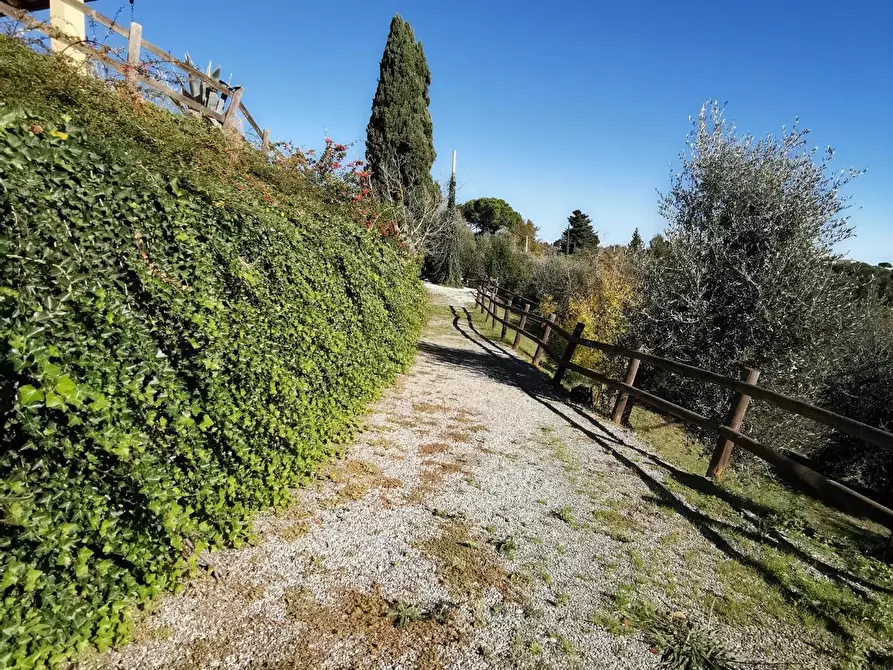 Immagine 52 di Casa indipendente in vendita  a Palaia